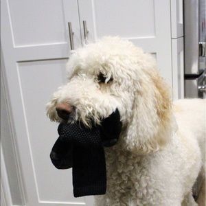 Meet your Posher, Robin